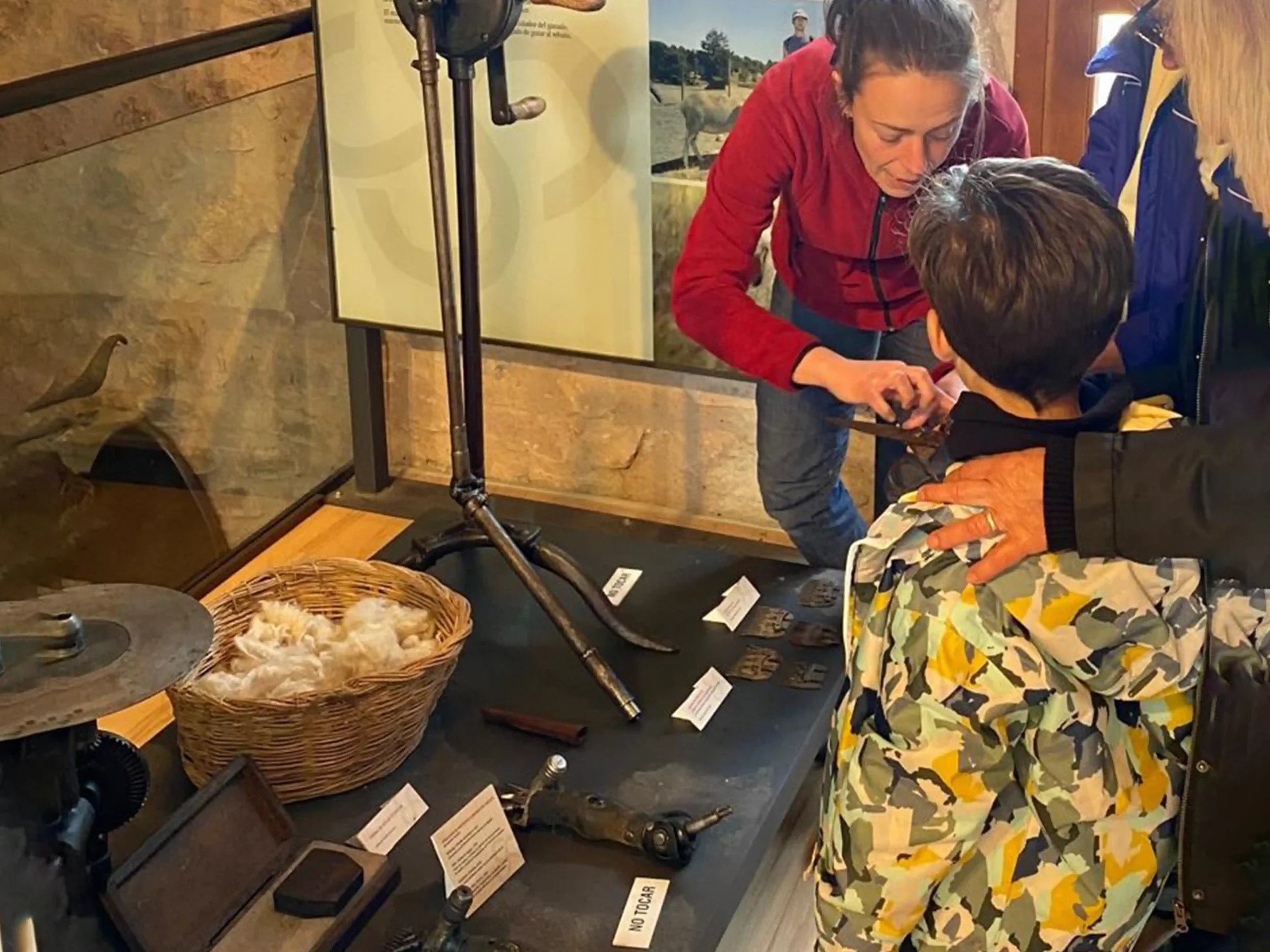 actividades ganaderia alto tajo