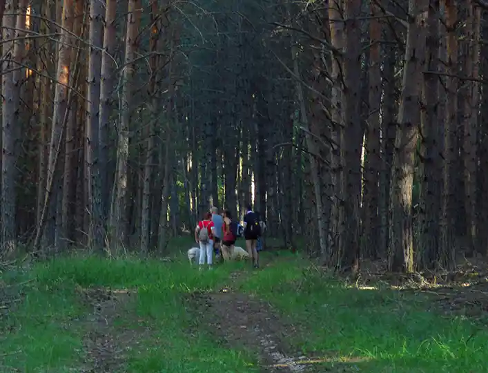 baños bosque alto tajo