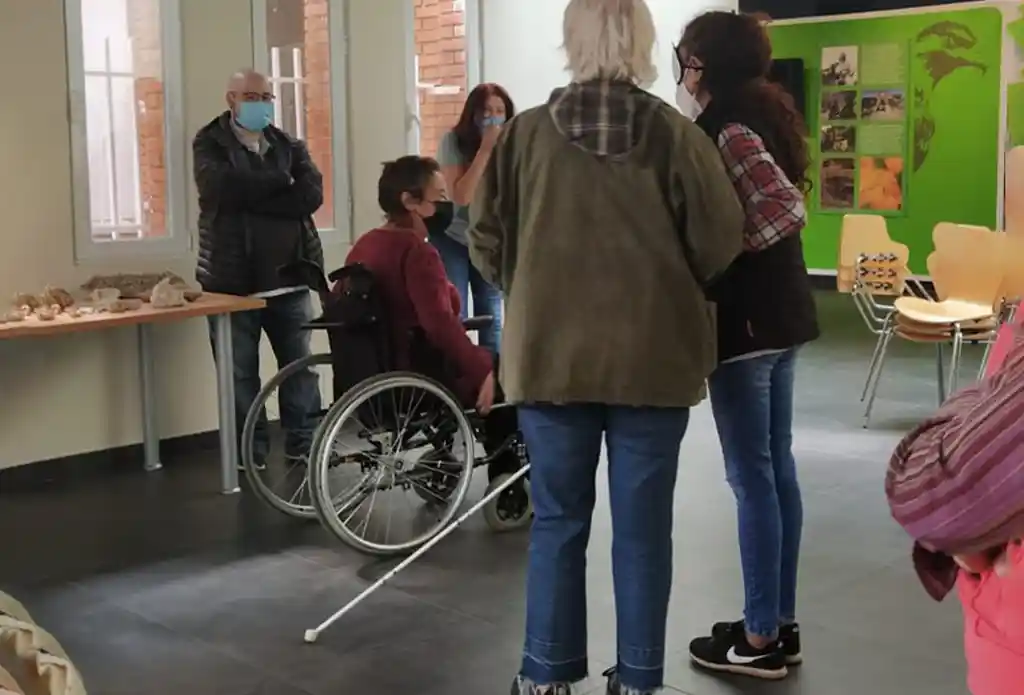 talleres accesibilidad